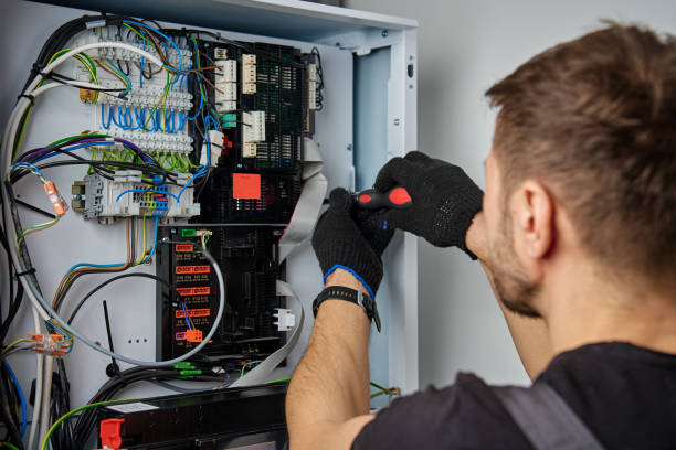 Licensed Electrical Panel Upgrade service in Roxana, IL - No Joke electrician